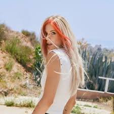 taylor acorn wikipedia