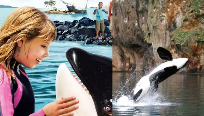 Jessica Radcliffe Wikipedia jessica radcliffe wikipedia
Jessica Radcliffe from which country
Jessica radcliffe instagram id original
Jessica Radcliffe birthday
Jessica radcliffe alive or not in english
Jessica Radcliffe CNN
Jessica radcliffe dolphin instagram
Jessica radcliffe net worth
Jessica orca incident in hindi